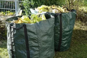 Green Waste Skip Bin Canberra