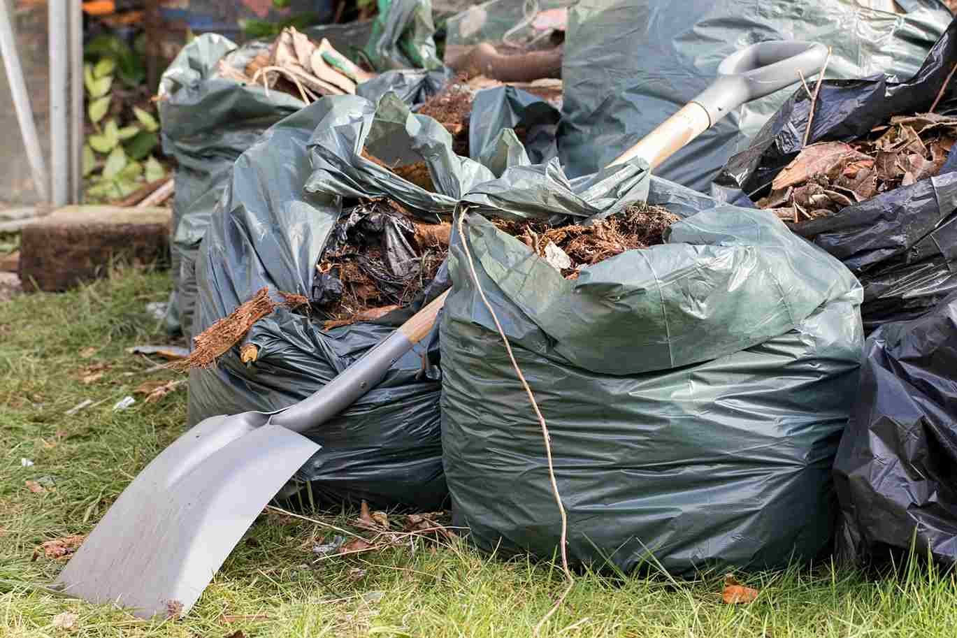 Why Mini Skip Hire Canberra Is Perfect for Home Clean-Ups